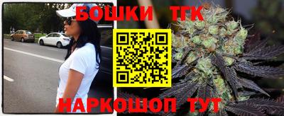 крисы Лесосибирск