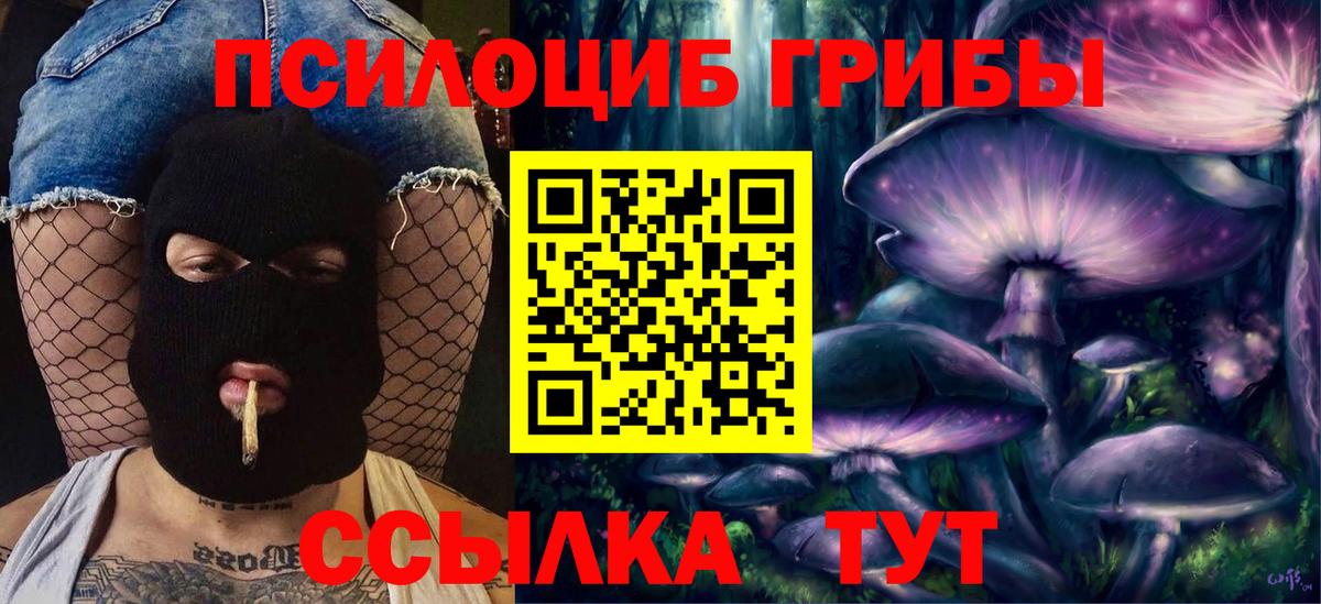 Галлюциногенные грибы мухоморы Чернушка
