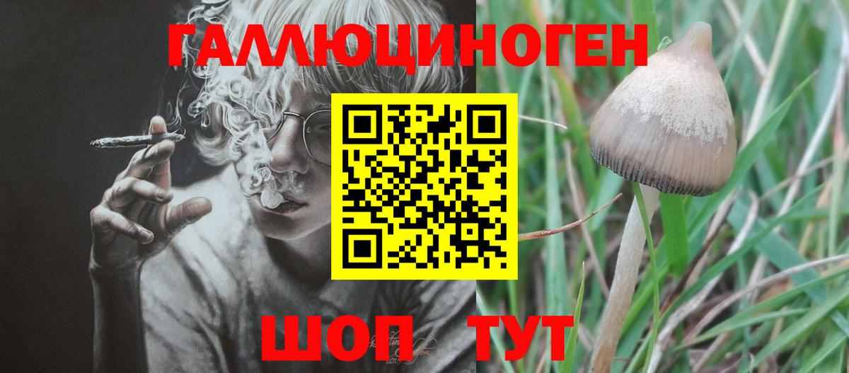 Псилоцибиновые грибы ЛСД  Вход с VPN  Галлюциногенные грибы ЛСД  Чернушка 